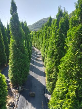 모모님의 자유주제 · 자유게시판 작성글 사진