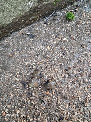 노재영님의 자유주제 · 자유게시판 작성글 사진