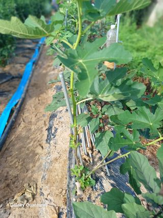 이창우님의 자유주제 · 자유게시판 작성글 사진