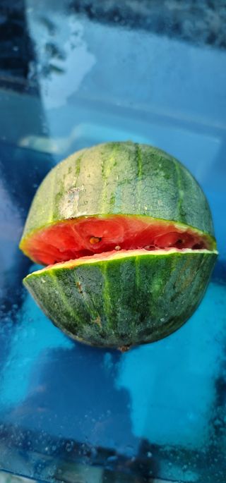 신영식님의 농사, 무엇이든 물어보세요! · 참여글 작성글 사진