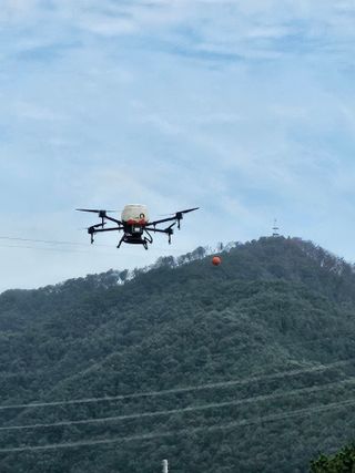 윤재하님의 자유주제 · 자유게시판 작성글 사진