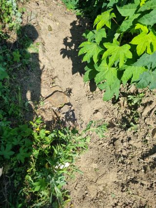 김용대님의 자유주제 · 자유게시판 작성글 사진