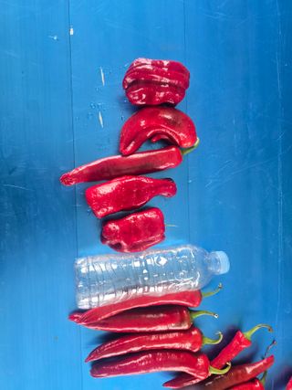 박수열님의 자유주제 · 자유게시판 작성글 사진