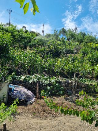 김용대님의 자유주제 · 자유게시판 작성글 사진