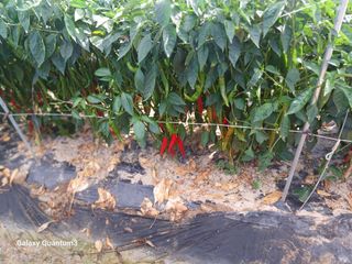 이창우님의 자유주제 · 자유게시판 작성글 사진