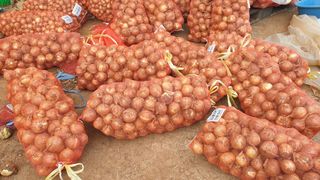 농부아내님의 작성글 사진