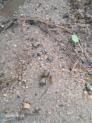 노재영님의 자유주제 · 자유게시판 작성글 사진