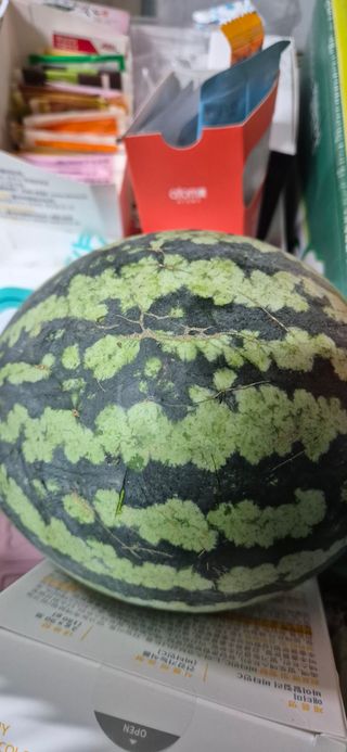 봉림동 태진농장님의 자유주제 · 자유게시판 작성글 사진