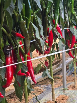 박수열님의 자유주제 · 자유게시판 작성글 사진