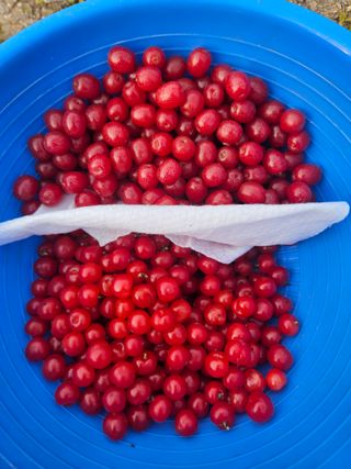 송진술♡ 수원♡님의 자유주제 · 자유게시판 작성글 사진