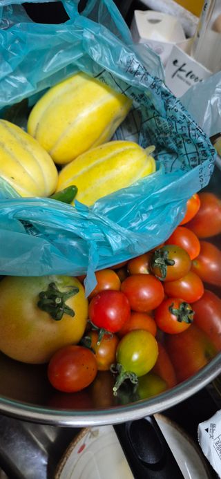 봉림동 태진농장님의 자유주제 · 자유게시판 작성글 사진