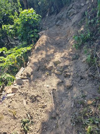 김용대님의 자유주제 · 자유게시판 작성글 사진