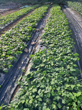 윤형곤님의 자유주제 · 자유게시판 작성글 사진