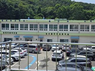 약초원 김종군님의 자유주제 · 자유게시판 작성글 사진