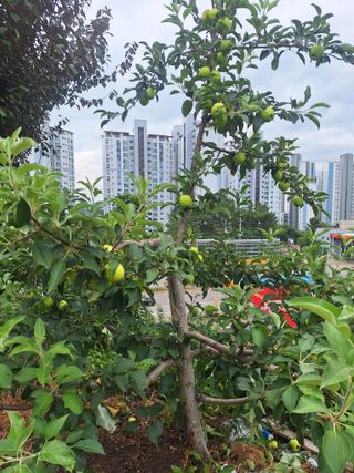 유충상님의 자유주제 · 자유게시판 작성글 사진