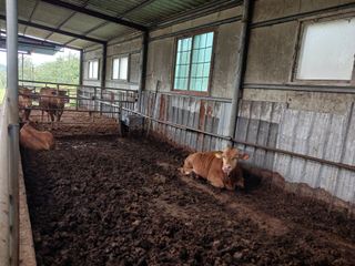 알 수 없음님의 자유주제 · 자유게시판 작성글 사진