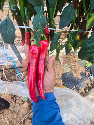 박수열님의 자유주제 · 자유게시판 작성글 사진