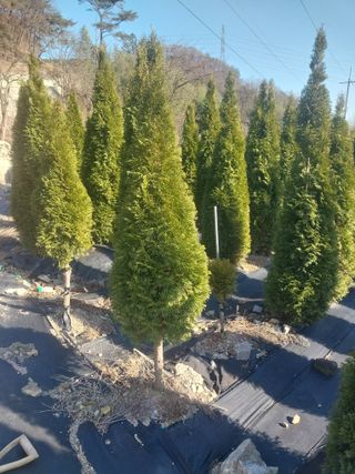 모모님의 자유주제 · 자유게시판 작성글 사진