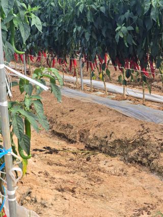 박수열님의 자유주제 · 자유게시판 작성글 사진