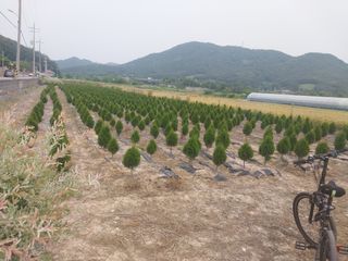 모모님의 자유주제 · 자유게시판 작성글 사진