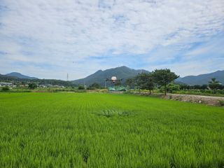 윤재하님의 자유주제 · 자유게시판 작성글 사진