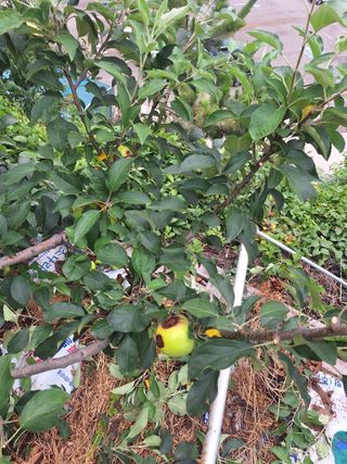 유충상님의 자유주제 · 자유게시판 작성글 사진