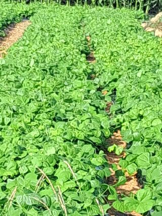 윤형곤님의 자유주제 · 자유게시판 작성글 사진