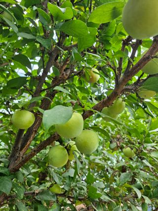 서정훈 님의 자유주제 · 자유게시판 작성글 사진