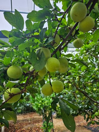 서정훈 님의 자유주제 · 자유게시판 작성글 사진