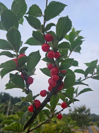 송진술♡ 수원♡님의 자유주제 · 자유게시판 작성글 사진
