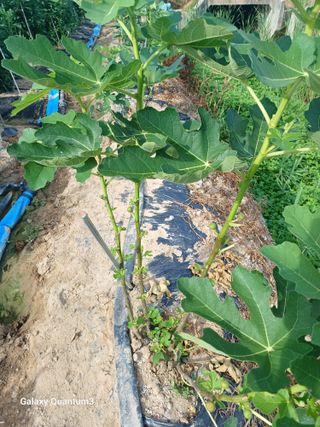 이창우님의 자유주제 · 자유게시판 작성글 사진