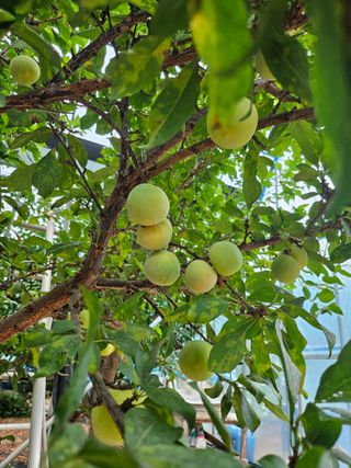 서정훈 님의 자유주제 · 자유게시판 작성글 사진