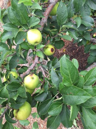 유충상님의 자유주제 · 자유게시판 작성글 사진