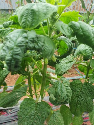 제미숙님의 자유주제 · 자유게시판 작성글 사진