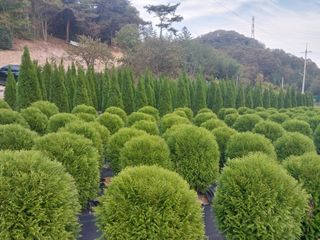 모모님의 자유주제 · 자유게시판 작성글 사진