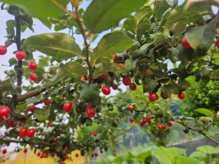 송진술♡ 수원♡님의 자유주제 · 자유게시판 작성글 사진