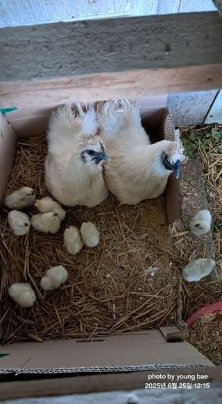 거제1955님의 자유주제 · 자유게시판 작성글 사진