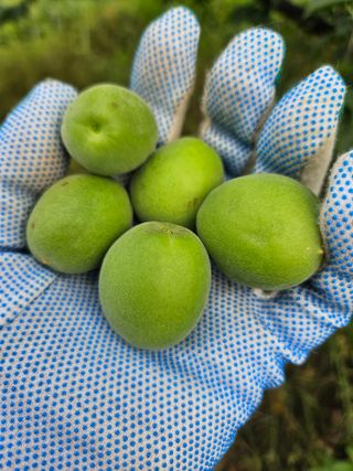 송진술♡ 수원♡님의 자유주제 · 자유게시판 작성글 사진