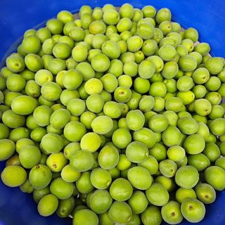 송진술♡ 수원♡님의 자유주제 · 자유게시판 작성글 사진