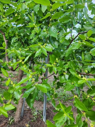 최상길 님의 자유주제 · 자유게시판 작성글 사진