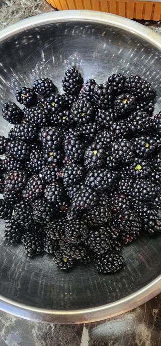 김선례님의 자유주제 · 자유게시판 작성글 사진