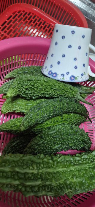 봉림동 태진농장님의 자유주제 · 자유게시판 작성글 사진