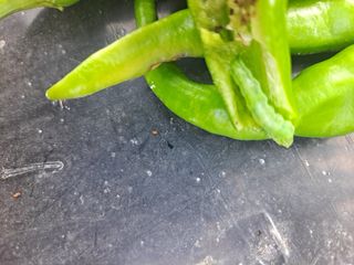 농촌사랑님의 자유주제 · 자유게시판 작성글 사진