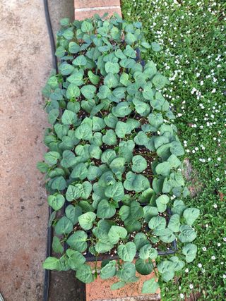 김은숙님의 작성글 사진