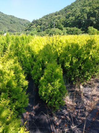 모모님의 자유주제 · 자유게시판 작성글 사진