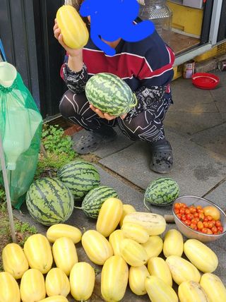 김선례님의 자유주제 · 자유게시판 작성글 사진