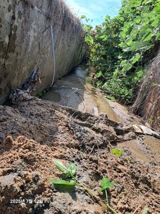 노재영님의 자유주제 · 자유게시판 작성글 사진