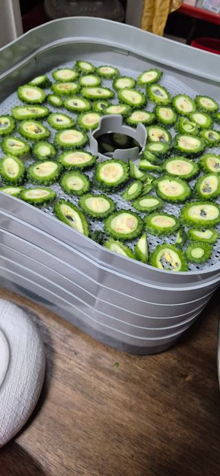 봉림동 태진농장님의 자유주제 · 자유게시판 작성글 사진