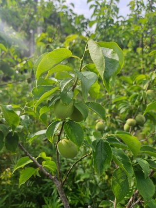 송진술♡ 수원♡님의 자유주제 · 자유게시판 작성글 사진
