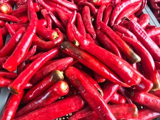 박수열님의 자유주제 · 자유게시판 작성글 사진